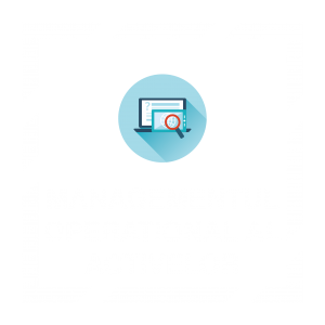 Managementul Operațional al Activelor